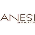 anesi logo